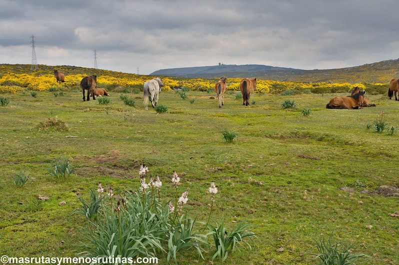 Faro de Corrubedo fronte ao Atlántico