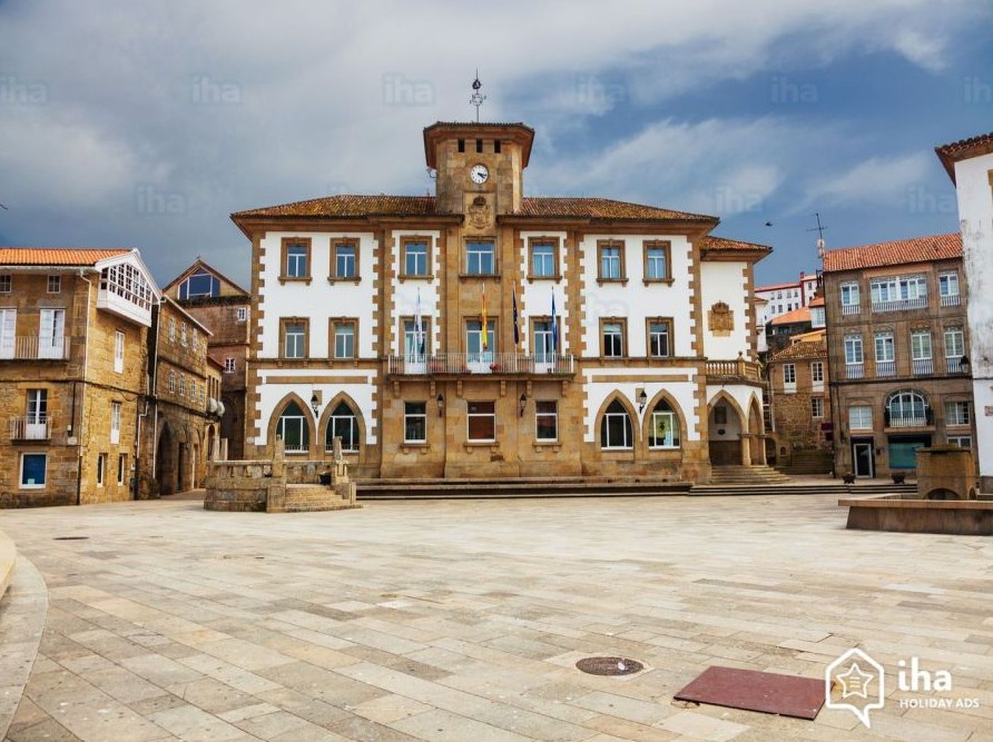 Cabalos salvaxes pacendo na serra do Barbanza