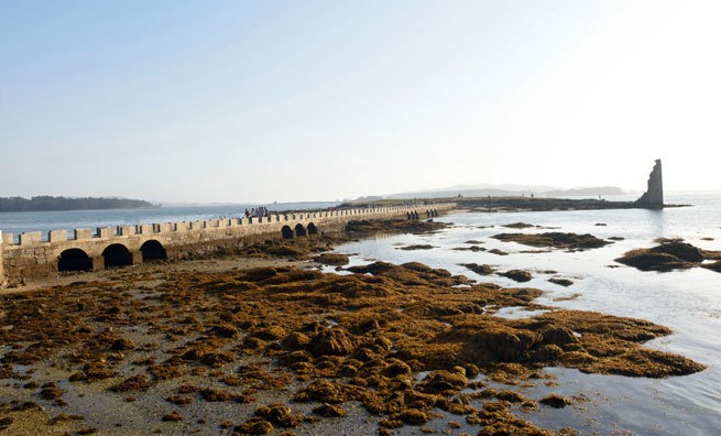 Ruínas de Santa Mariña de Dozo en Cambados