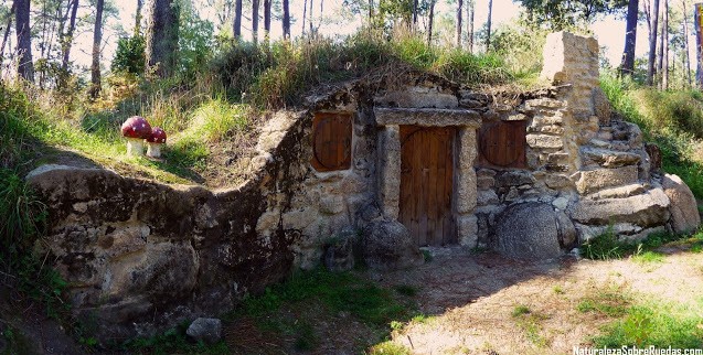 Piñeiral autóctono no interior da Illa da Toxa